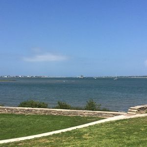 Meet your Posher, Louie